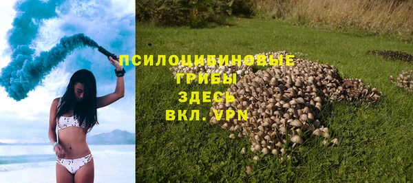 2c-b Новодвинск